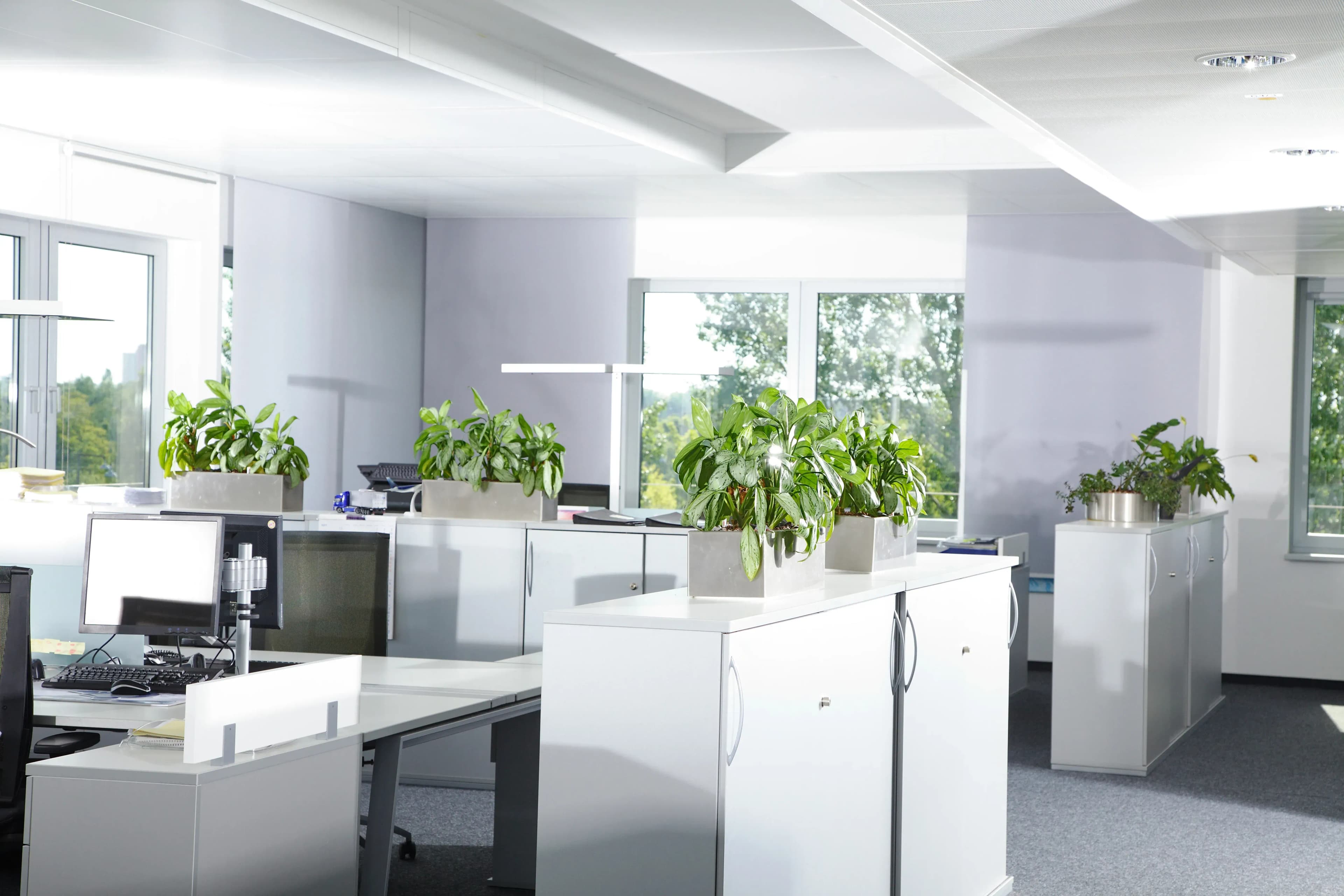 Attraktive Büro-Immobilie für Unternehmen in Linz mieten