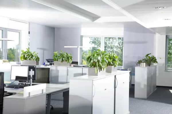 Attraktive Büro-Immobilie für Unternehmen in Linz mieten